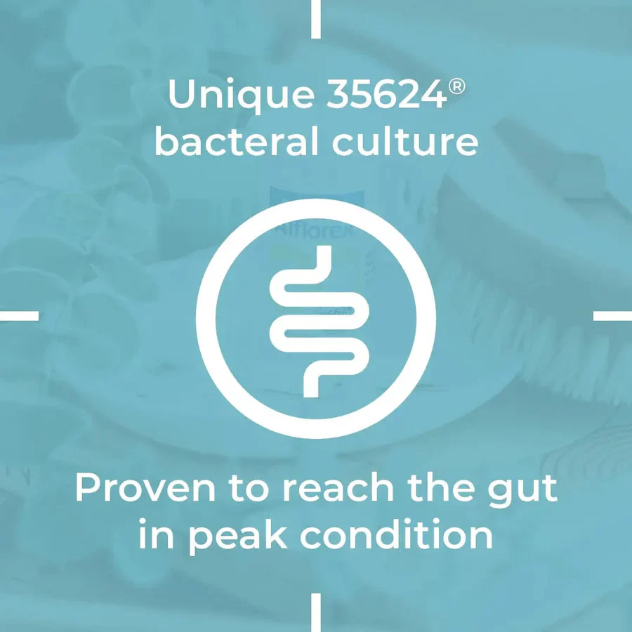 Alflorex Probiotic 3 Month Supply Deal - Image 3