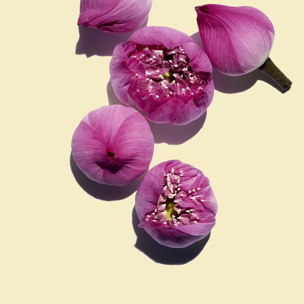 Clarins Lotus Face Treatment Oil - Image 4